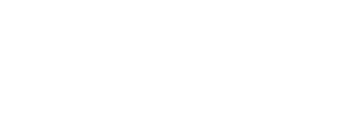 Gavio Global Risk Solutions